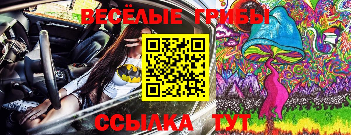 Галлюциногенные грибы прущие грибы  магазин продажи наркотиков  Вход с VPN  Лениногорск  Галлюциногенные грибы Psilocybe 