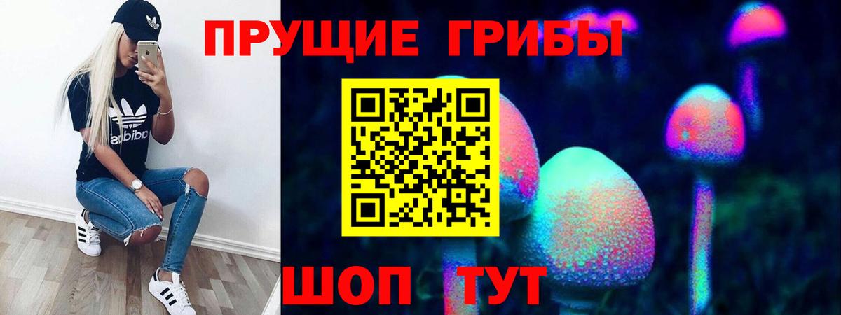 Галлюциногенные грибы прущие грибы Лениногорск